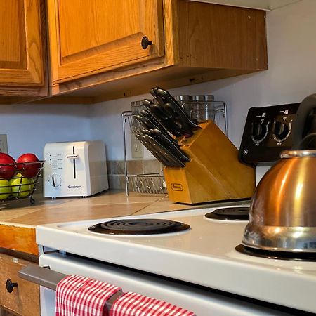 Heavenly View - Bear Themed Cabin, Hottub, Dog-Friendly, Near Gatlinburg Exteriör bild