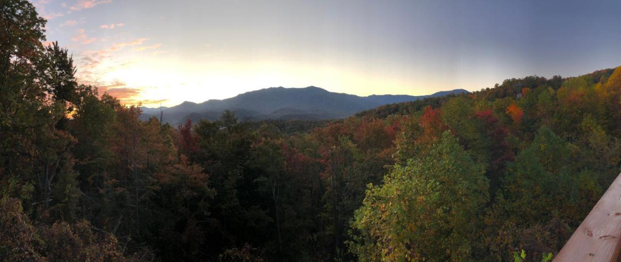 Heavenly View - Bear Themed Cabin, Hottub, Dog-Friendly, Near Gatlinburg Exteriör bild
