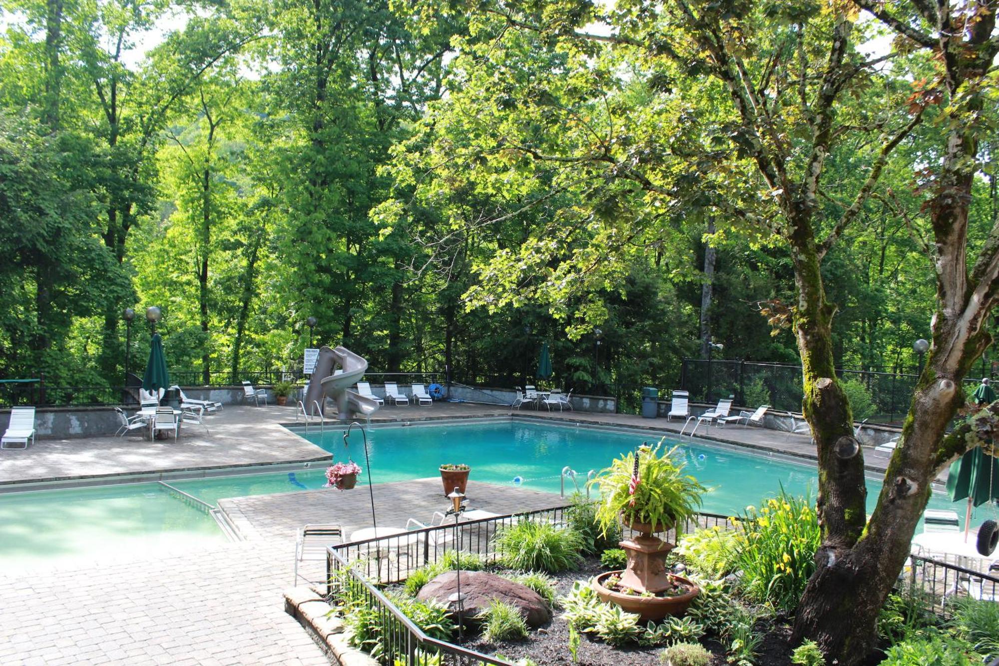 Heavenly View - Bear Themed Cabin, Hottub, Dog-Friendly, Near Gatlinburg Exteriör bild