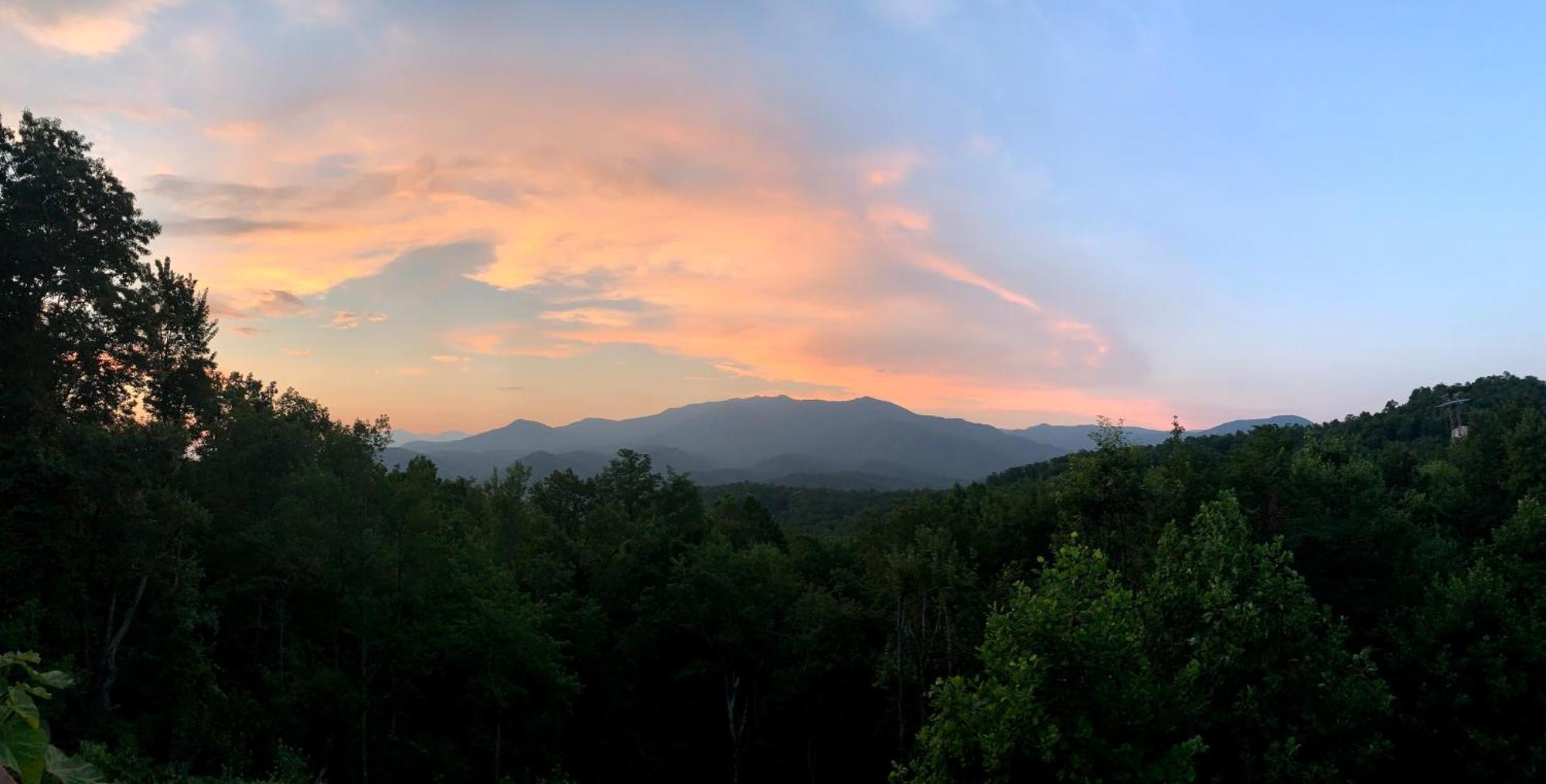 Heavenly View - Bear Themed Cabin, Hottub, Dog-Friendly, Near Gatlinburg Exteriör bild
