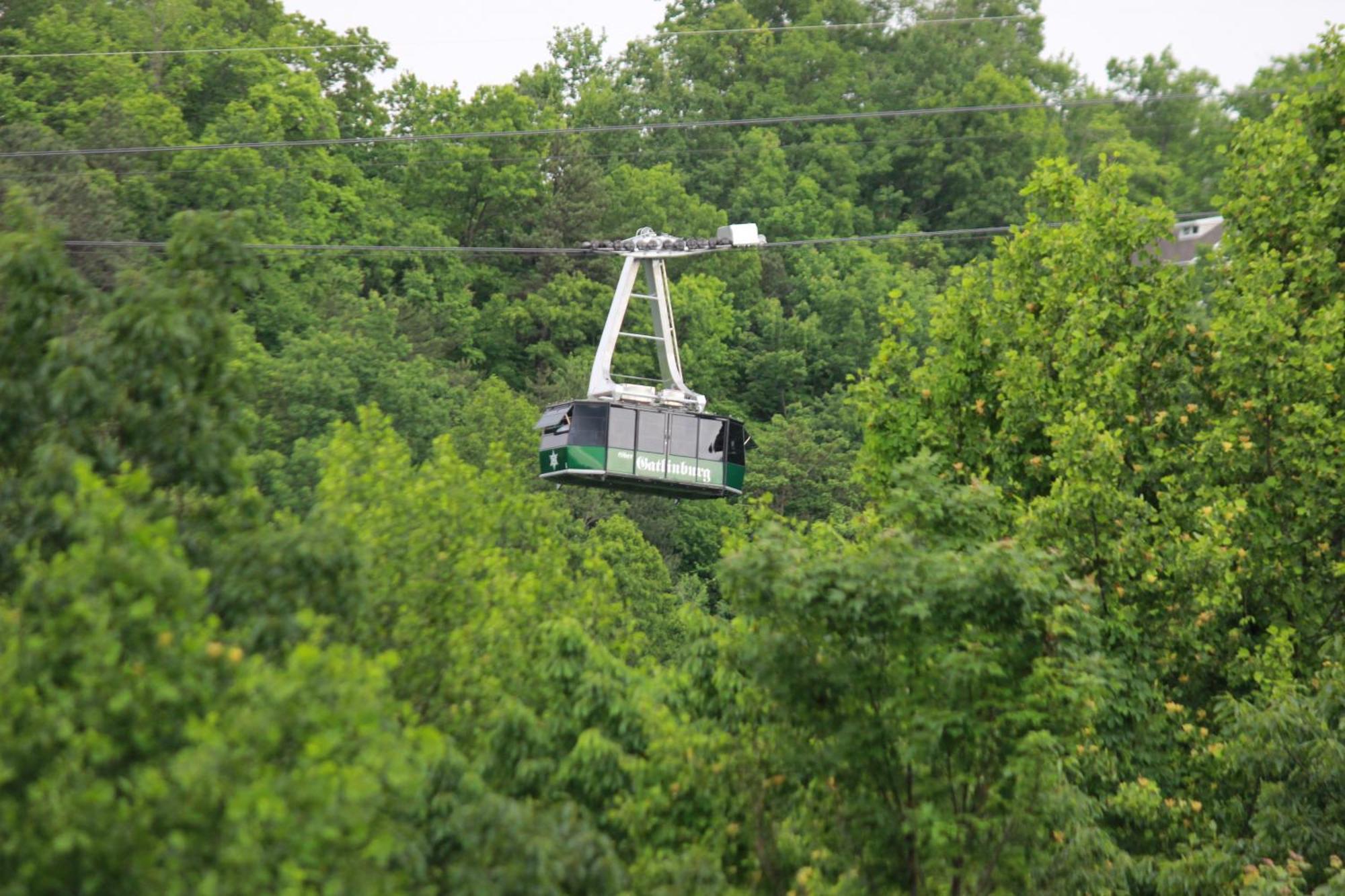 Heavenly View - Bear Themed Cabin, Hottub, Dog-Friendly, Near Gatlinburg Exteriör bild